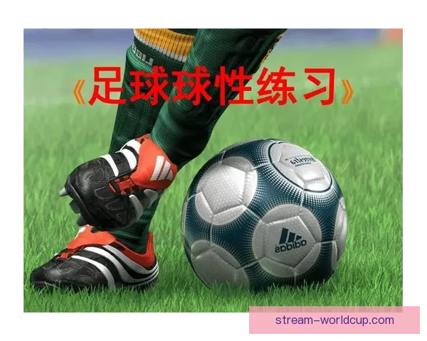 今日足球篮球赛事深度解析与高胜率体育竞猜推荐稳健思路分享